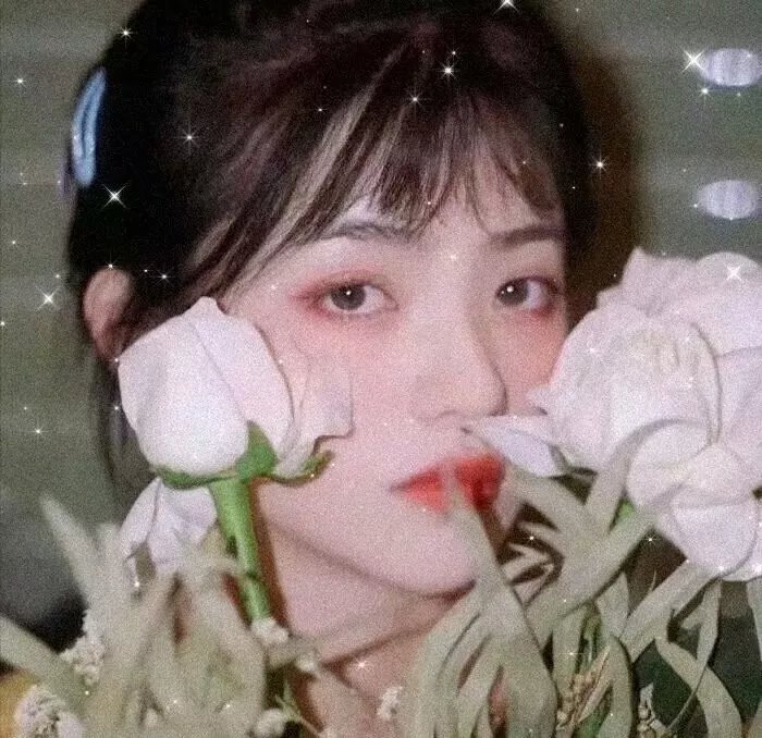 狮子王们的夏天